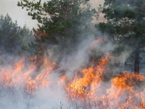 El Ministerio de Seguridad dijo que identificará y juzgara a los responsables de los incendios