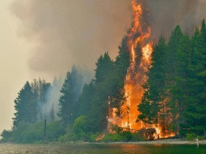 Incendios: el Gobierno estudia prorrogar por decreto la ley de Emergencia Ígnea