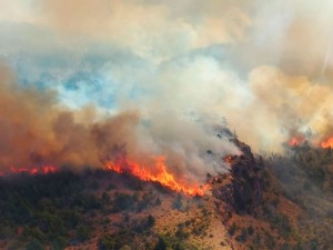 La UCR propuso incorporar el ‘ecocidio' al Código Penal y denunció al Gobierno por subejecutar fondos