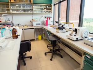 Cáncer de hígado: una revisión argentina pone a la epigenética en el centro del futuro terapéutico