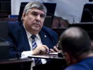 Tensión en el Senado: Mayans pidió que el presidente “se quede desnudo” en plena sesión