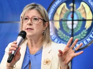 Monteoliva: "Bajar la edad de imputabilidad es una necesidad fundamental para la Argentina"