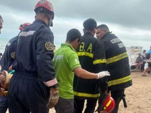 Parapentista cayó más de 20 metros y se estrelló contra los acantilados de Mar del Plata