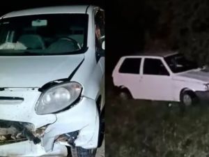 Tragedia en la Ruta 88: un hombre murió tras un choque provocado por un carpincho