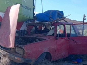 El Tren Patagónico chocó contra un auto pero sus ocupantes se salvaron de milagro