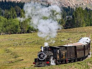 La Trochita pasa a desguace: el histórico tren patagónico se queda sin locomotoras