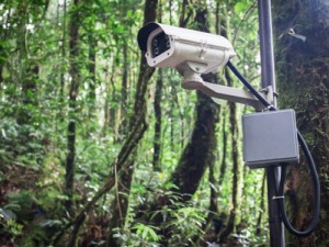 Tecnología de IA permite detectar incendios forestales en sus primeros minutos