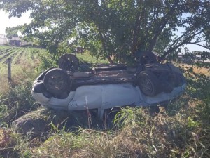 Recibió un mate mientras manejaba hacia la Costa, volcó y murió